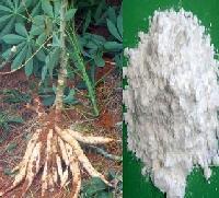 磷酸酯雙淀粉在江蘇無錫金陵塔公司的應用與發展